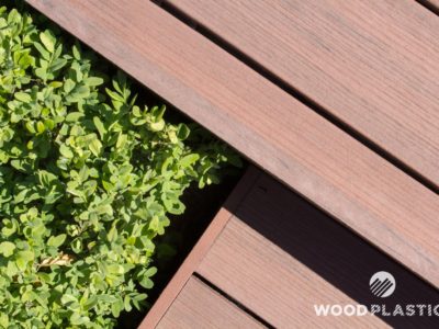 WoodPlastic® terasy forest plus merbau